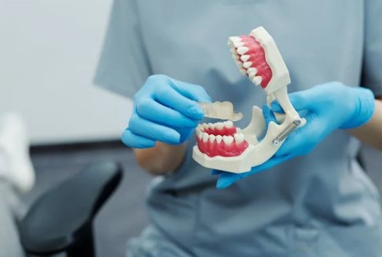 Manos con guantes mostrando un modelo de dentadura
